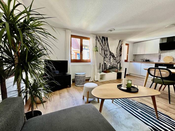 Location de vacances pour 6 personnes, avec balcon à Wettolsheim