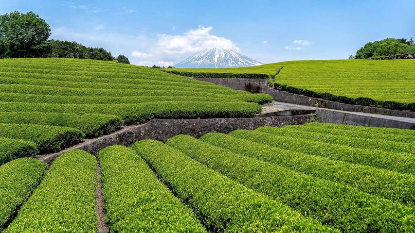 Alojamiento y desayuno para 2 personas, con jardín además de vistas y terraza en La Rioja - 2