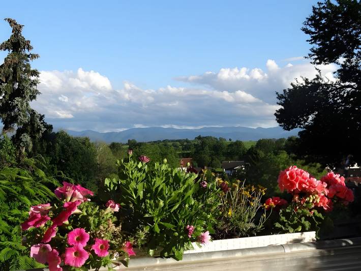 Ferienwohnung für 2 Personen, mit Terrasse und Garten in Freiburg - 4