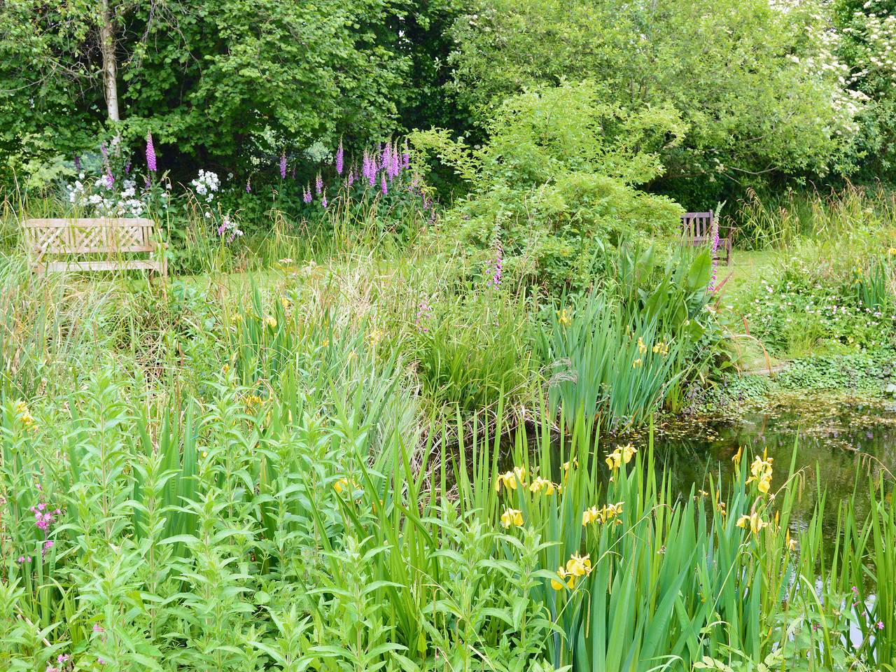 Bergerac Cottage in Lyme Regis, Dorset