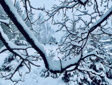 Ferienhaus für 4 Personen in Klingenthal, Chemnitz und Umgebung, Bild 3