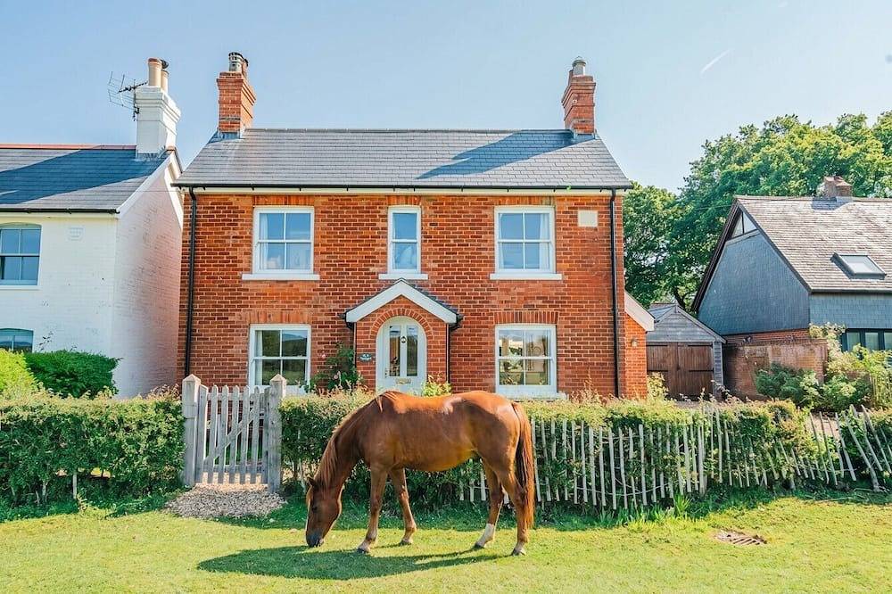 Spacious family retreat with large garden and wild ponies in Brockenhurst, Hampshire