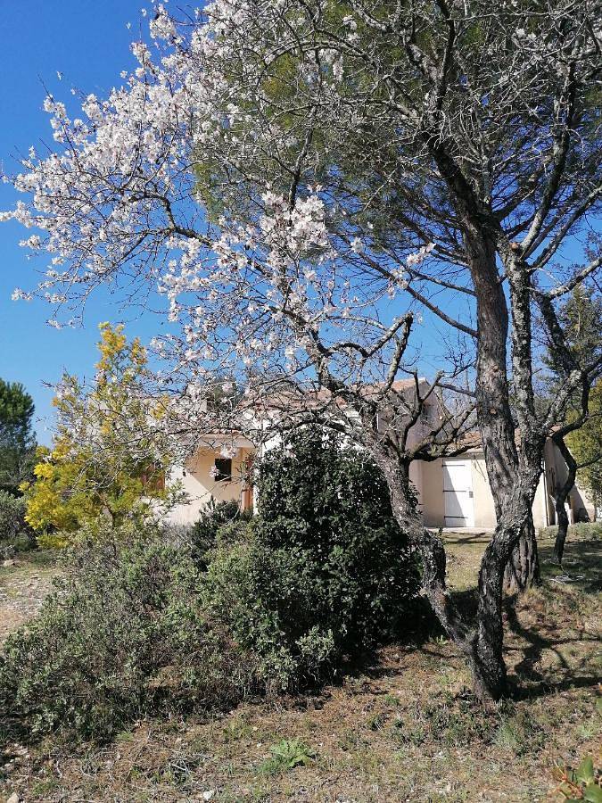 Location de vacances pour 4 personnes, avec Terrasse ainsi que Jardin et Vue à Saint-Jean-de-Minervois - 3