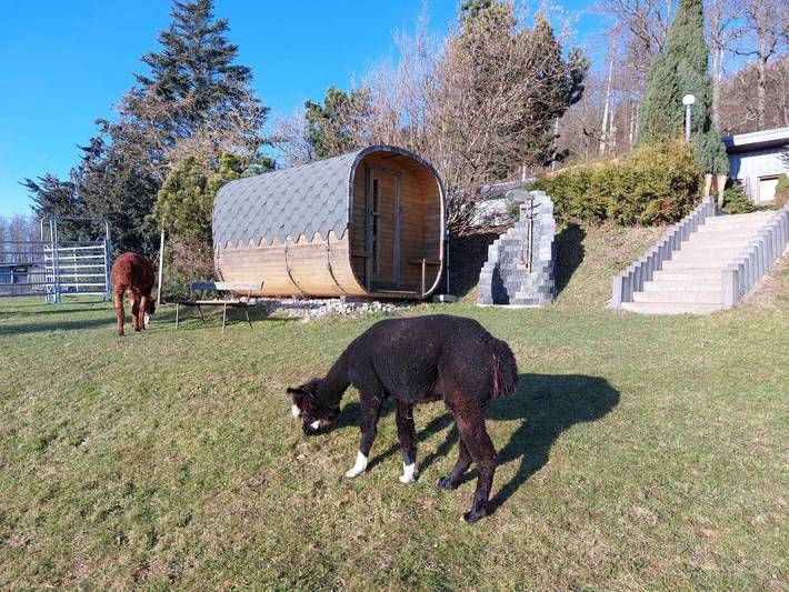 Ferienwohnung für 2 Personen, mit Sauna und Garten am Rennsteig - 4
