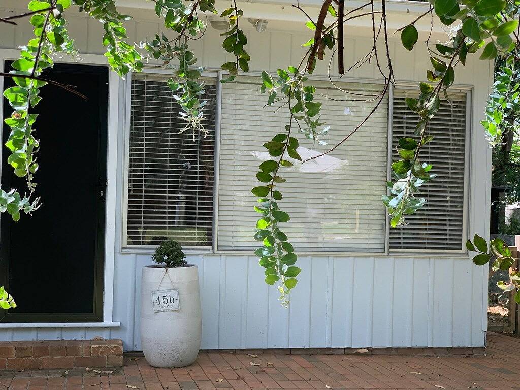 Pearl Beach Semi - 2 min to sand & sea – Lilly in Pearl Beach, New South Wales