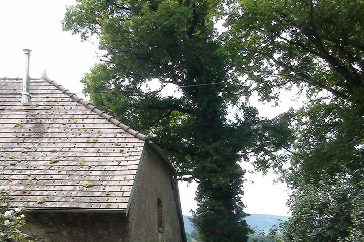 Gîte pour 4 personnes, avec jardin, animaux acceptés à Folles