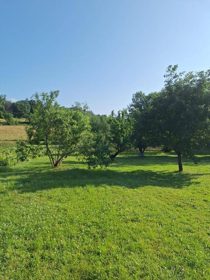 Chambre d’hôte pour 2 personnes, avec Terrasse ainsi que Jardin et Vue