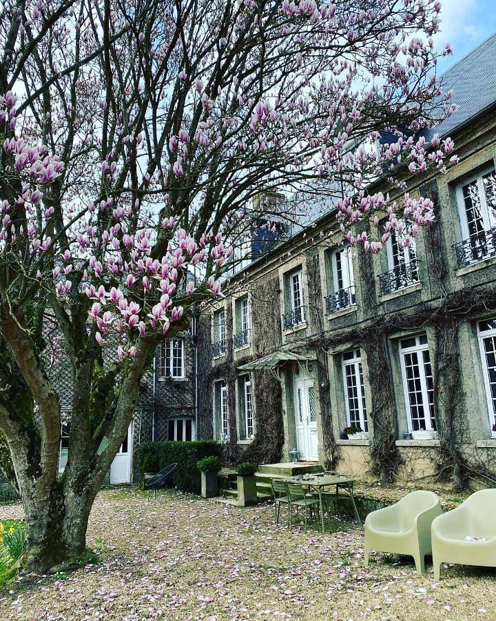 La benjamine in Cany-Barville, Région de Dieppe