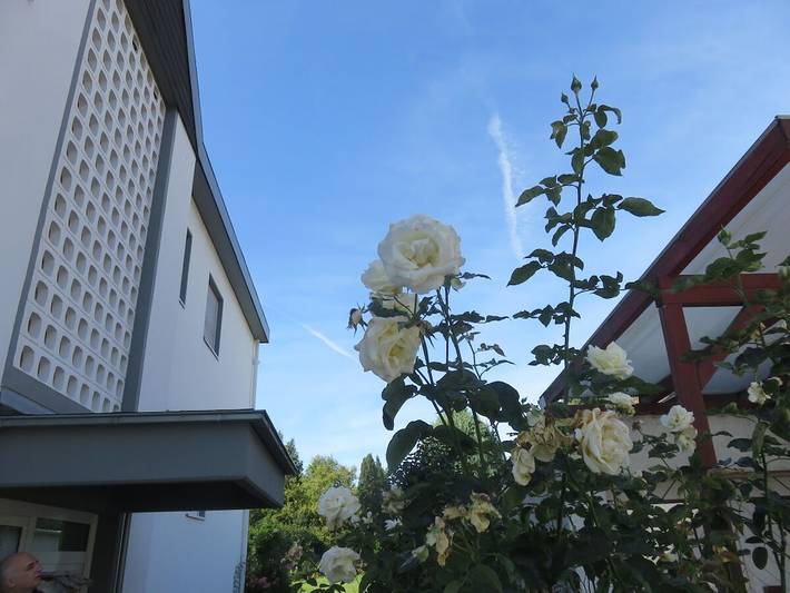 Ferienhaus für 2 Personen, mit Balkon in Sinzig - 2