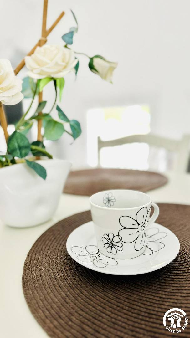 Gîte pour 4 personnes, animaux acceptés à Alzonne - 3