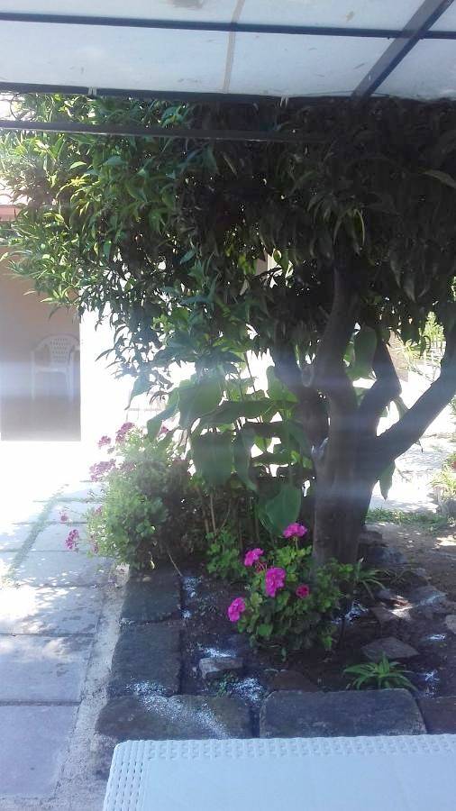 Double Room with Private Bathroom in Palinuro, Centola