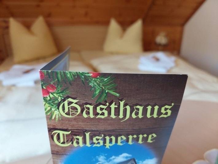 Double room, shower, toilet, 1 bed room in Eibenstock, Ore Mountains