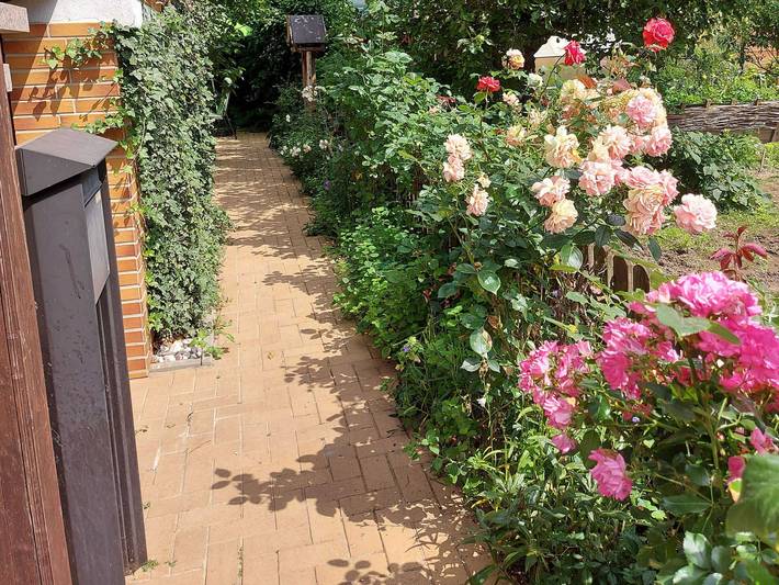 Ferienwohnung für 2 Personen, mit Garten in Rostock und Umgebung - 2