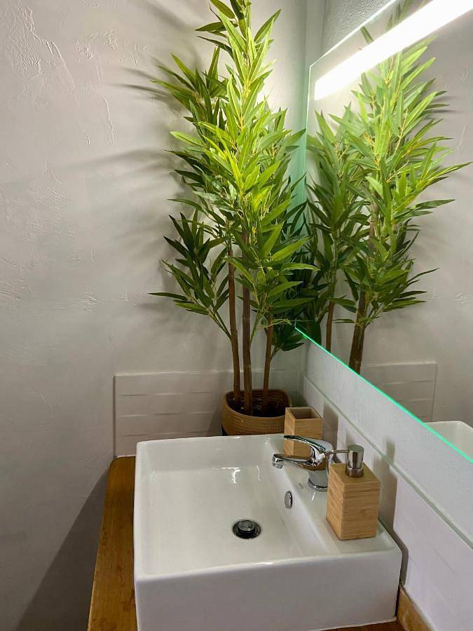 Chambre d’hôte pour 2 personnes, avec jardin ainsi que vue et terrasse à Bourdeilles - 4