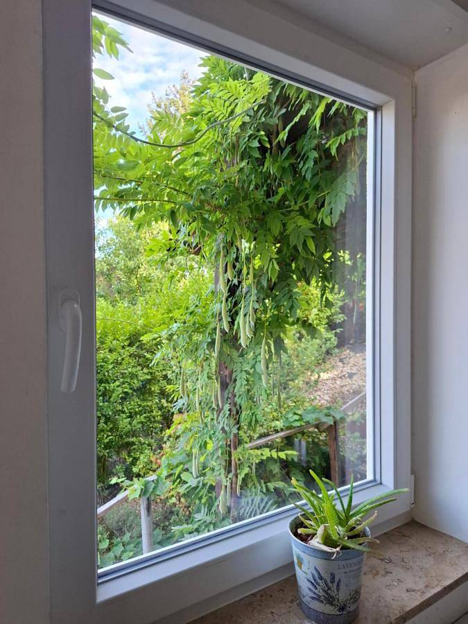 Ferienwohnung für 5 Personen, mit Garten und Ausblick, mit Haustier in Leinsweiler
