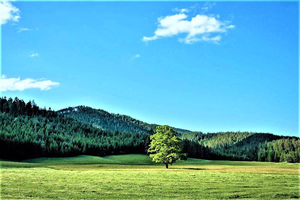 Höblinghof - Ferienhaus in Schwarzau im Gebirge, Wiener Alpen