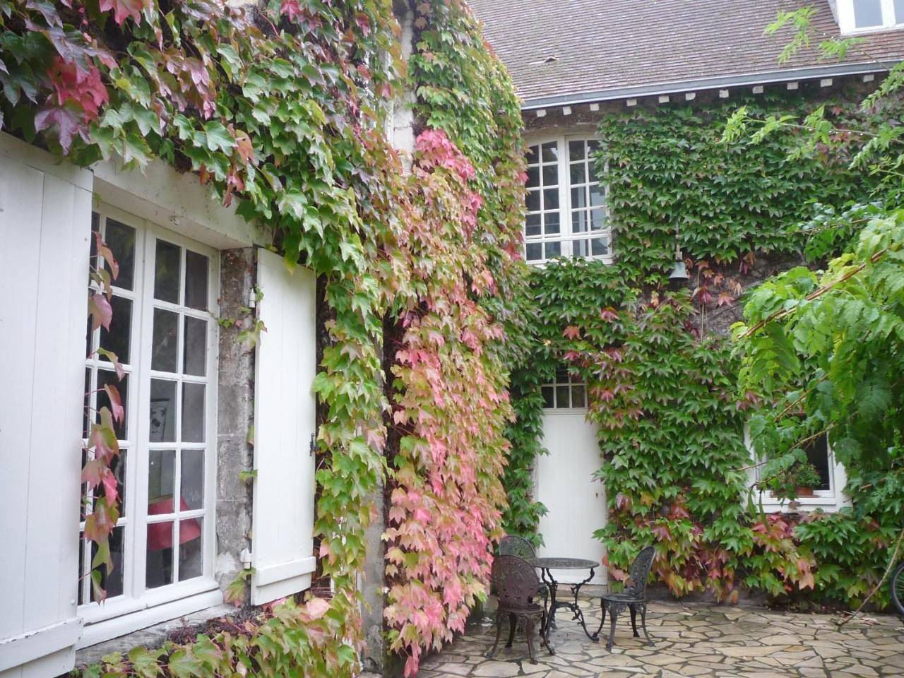 La Vigne Vierge in Châteauneuf-sur-Loire, Vallée de la Loire