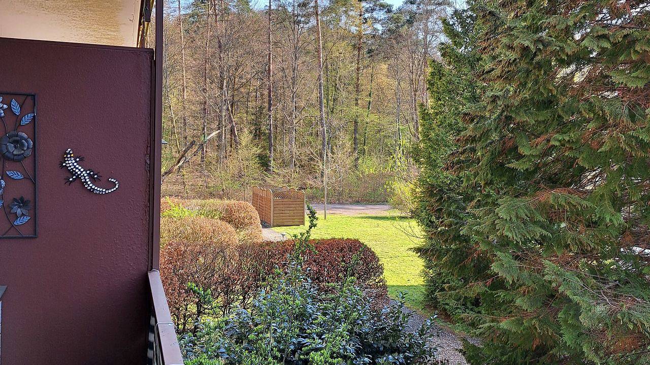 Ganze Ferienwohnung, Ferienwohnung für 2 Personen (39 m²) in Ludwigswinkel in Ludwigswinkel, Pfalz