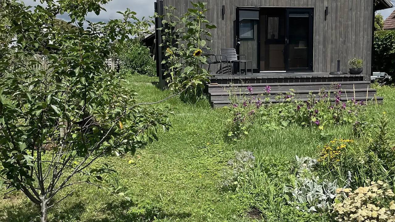 Ferienhaus für 2 Personen (18 m²) in Kressbronn am Bodensee in Kressbronn am Bodensee, Region Bodensee-Oberschwaben