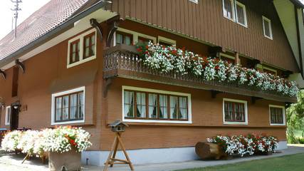 Ferienwohnung für 4 Personen in Wolfach, Mittlerer Schwarzwald, Bild 2