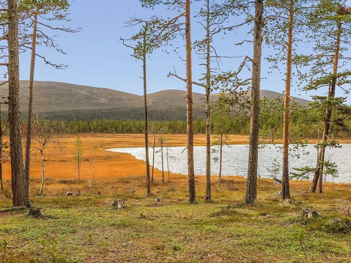 Chalet pour 4 personnes en Finlande - 3