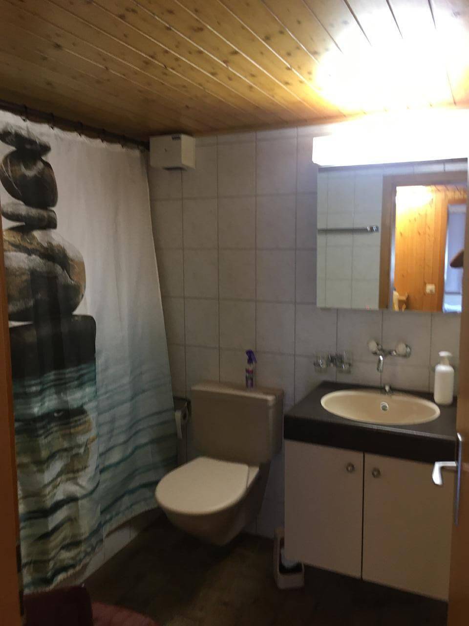 Ganze Ferienwohnung, Frohmatt in Adelboden, Frutigen - Lenk - Adelboden