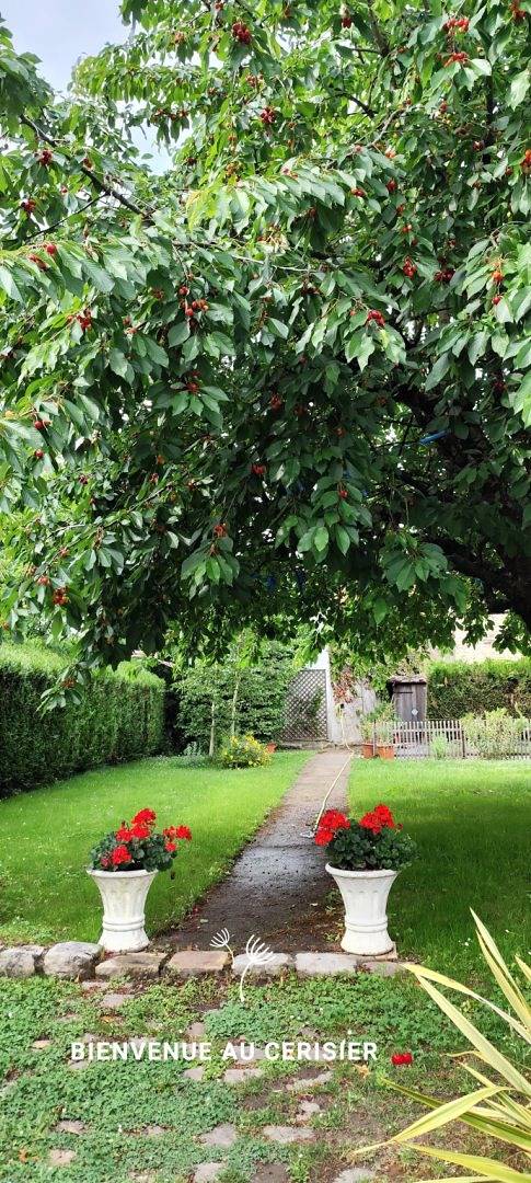 Chambres d'hôtes Le Cerisier - Prune in Sivry-Courtry, Seine-et-Marne