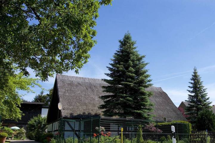 Ferienhaus für 4 Personen, mit Terrasse und Garten