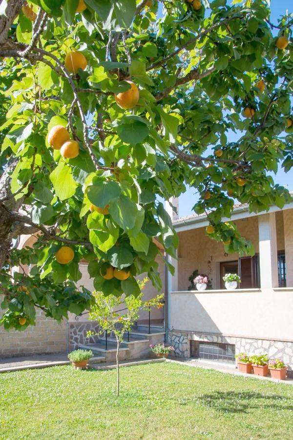 Superior Double Room in Ladispoli, Provincia di Roma
