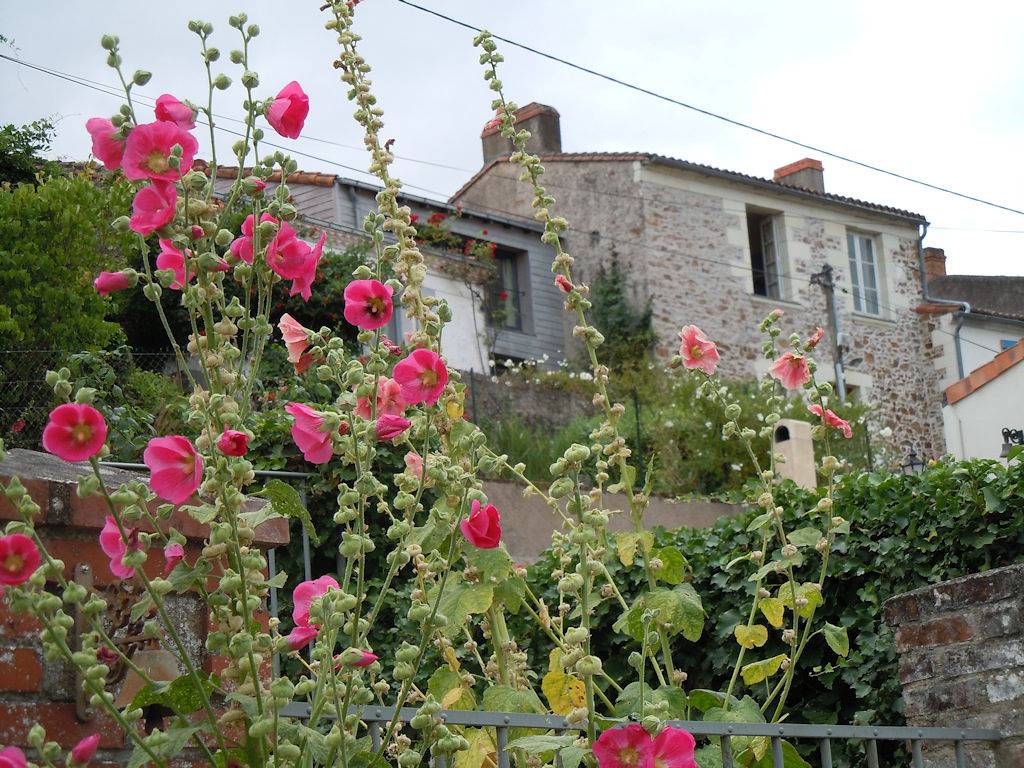 Chez Josiane - Chambre 2 in Orée-d'Anjou, Région de Cholet