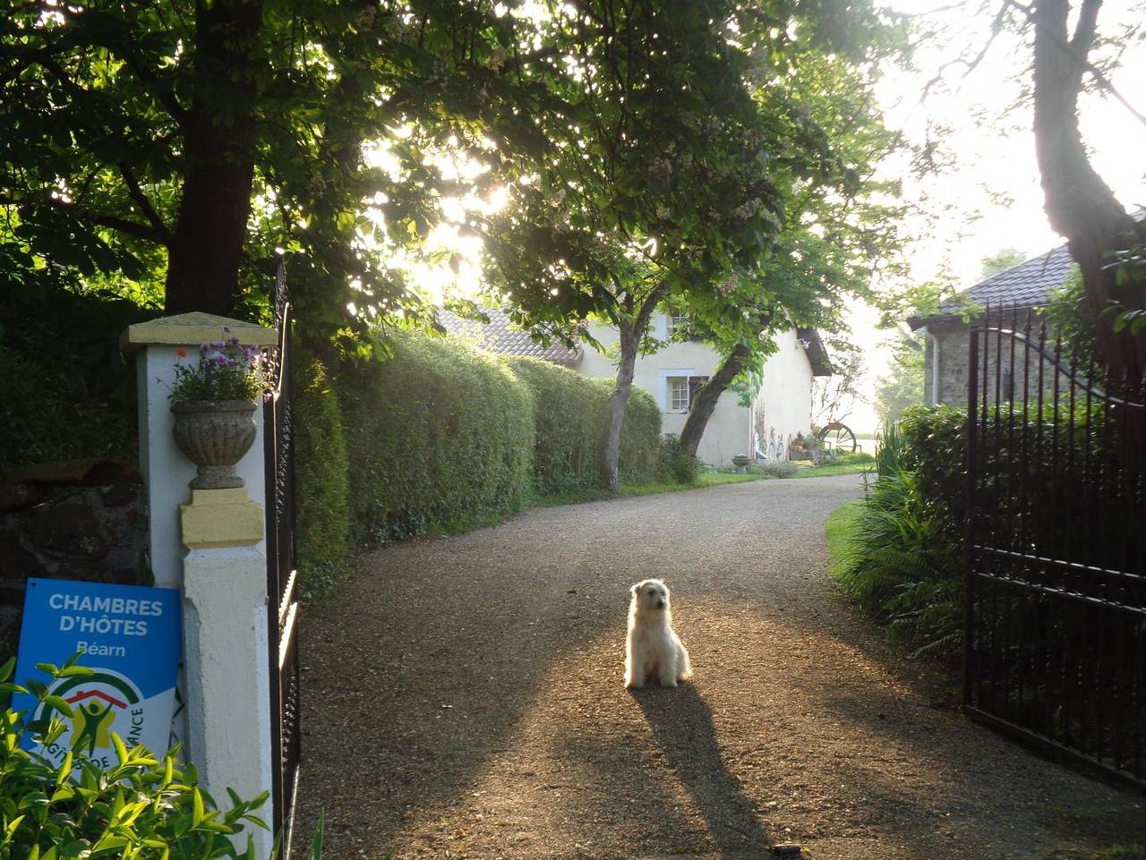 Chambre d’hôte pour 2 personnes avec jardin in Salies-de-Béarn, Béarn