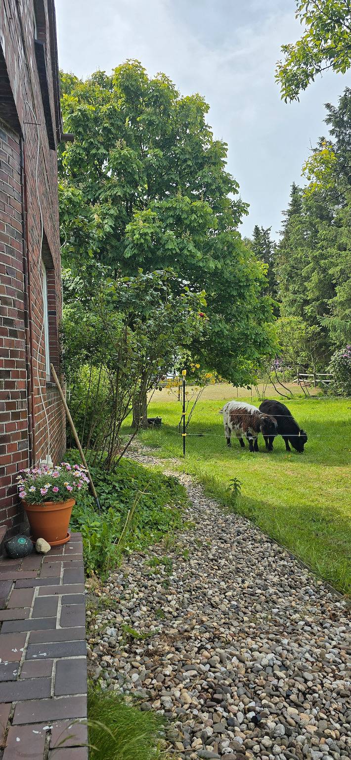 Ferienwohnung für 4 Personen, mit Garten, mit Haustier in Deutschland