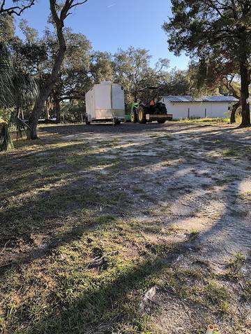 Camping for 6 Guests in Dixie County, Picture 1
