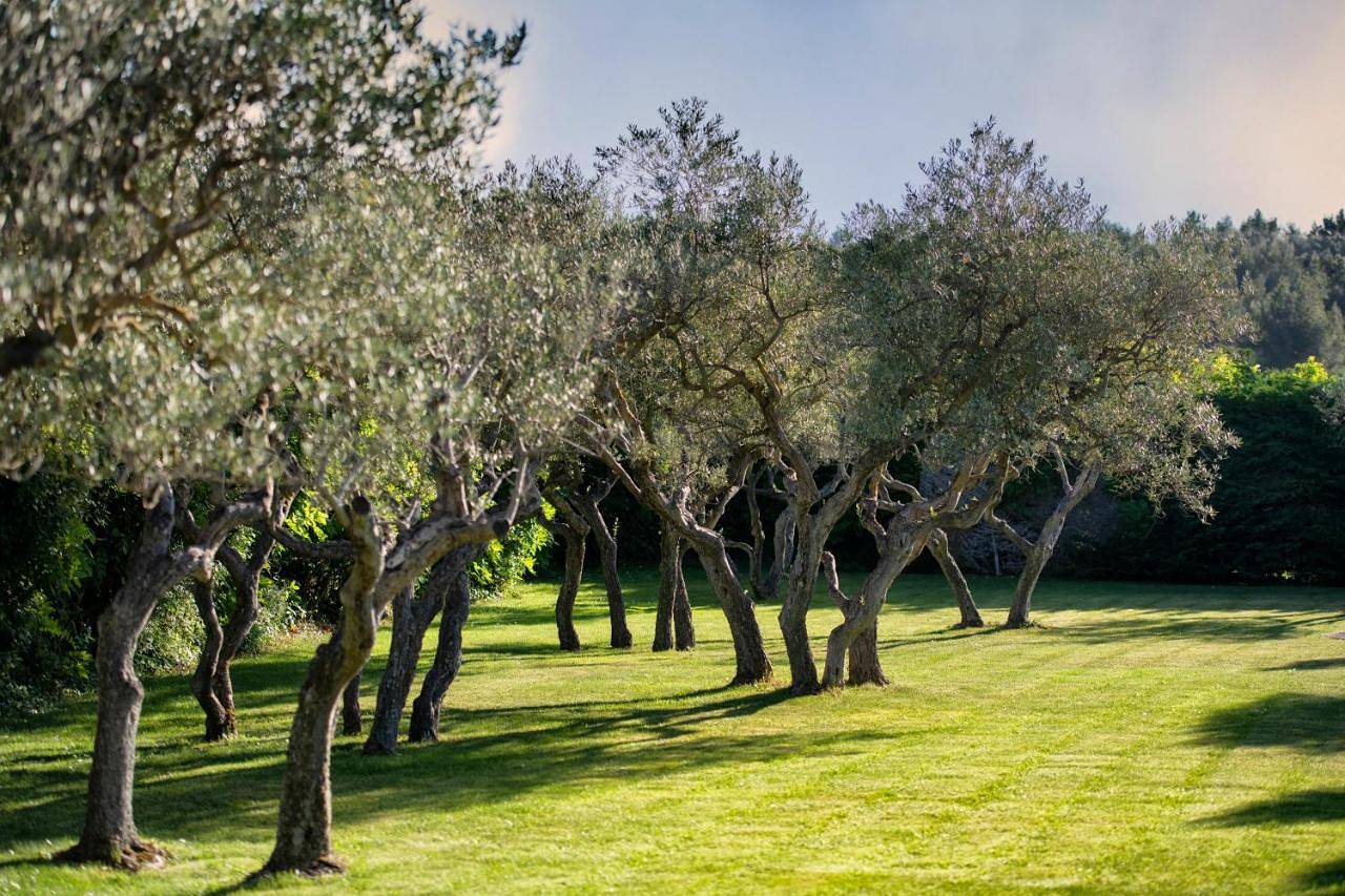 Mas de l'Oulivié in Les Baux-de-Provence, Région d'Arles