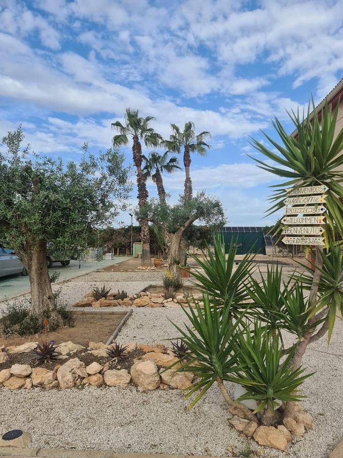 Casa rural para 13 personas, con jardín y piscina en Los Alcázares - 4