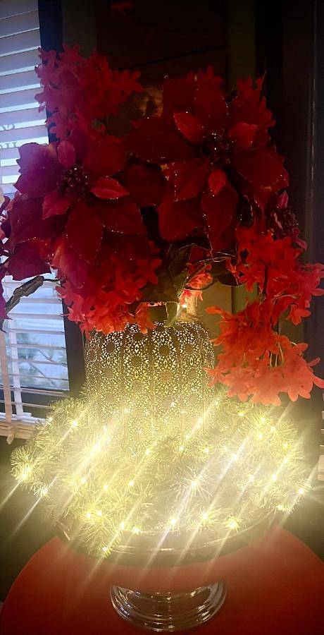 Location de vacances pour 2 personnes, avec terrasse et jardin à Maldegem - 3