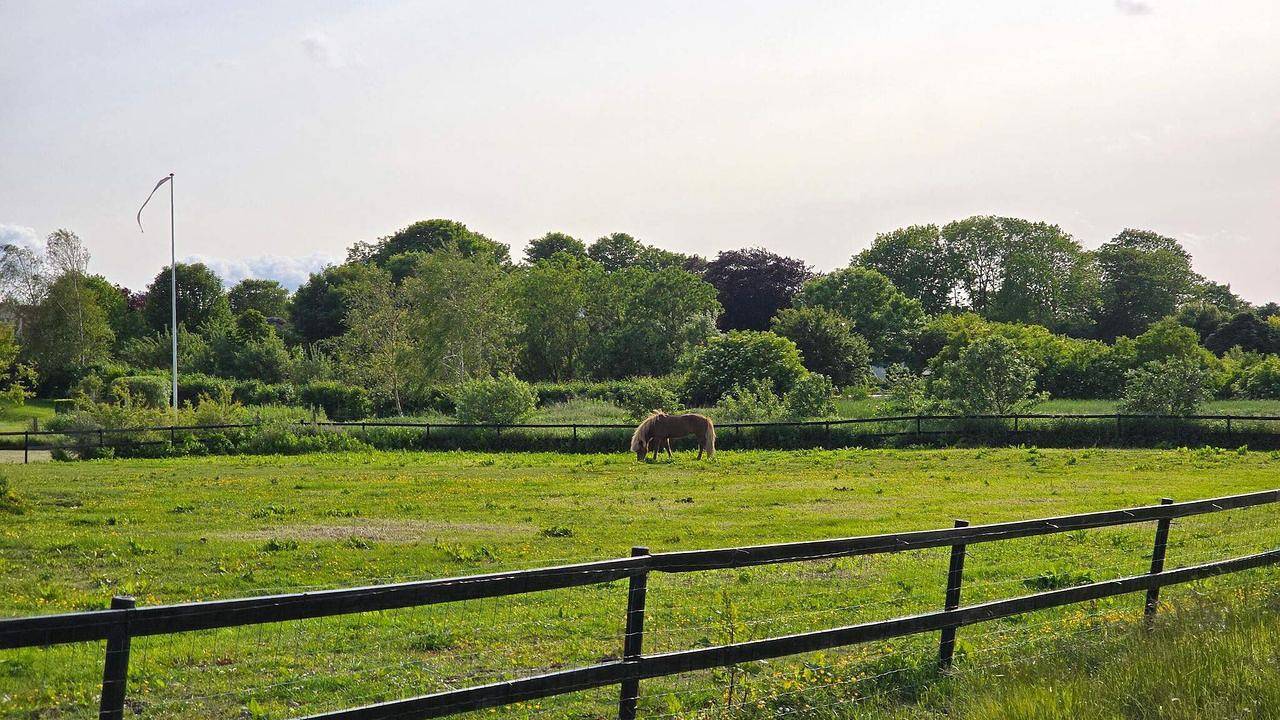 Ferienhaus für 6 Personen (66 m²) in Nibe in Klitgårds Fiskerleje, Limfjord in Nordjütland