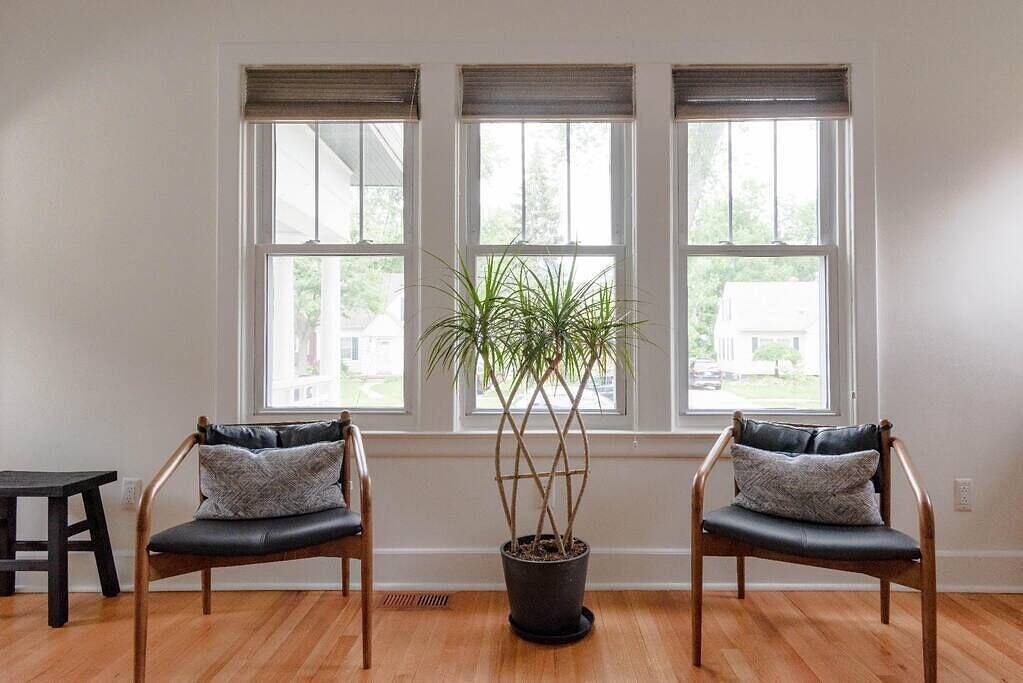 Christmas Tree - Best Neighborhood - Royal Oak in Oakland County