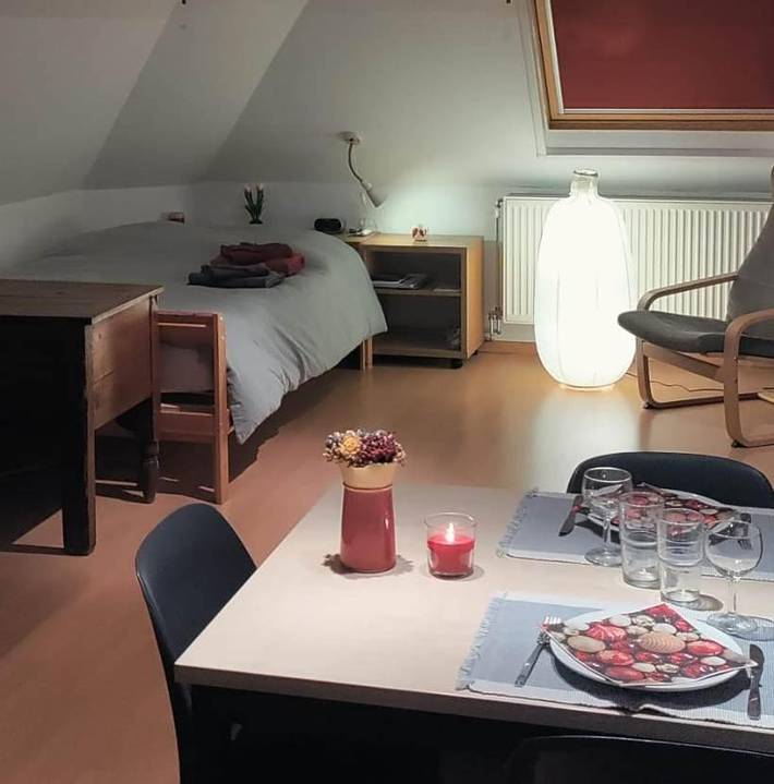 Gîte pour 3 personnes, avec vue à Brasschaat - 3