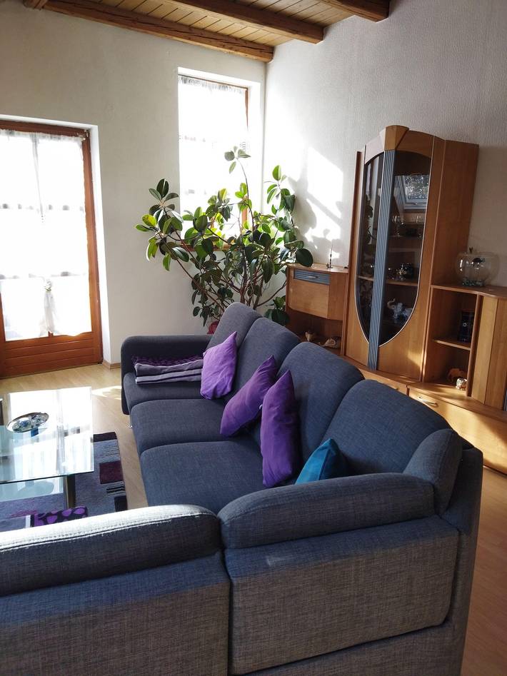 Ganze Ferienwohnung, Schöne Atelierferienwohnung mit Balkon a. d. Donau in Winzer, Bayerisches Donautal