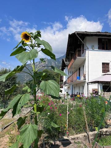 Gîte pour 4 personnes, avec jardin ainsi que vue et terrasse, animaux acceptés à Cérès