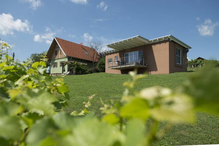Ferienhaus "Das Weinberg" - ab 7 Nächte in Südoststeiermark, Fehring