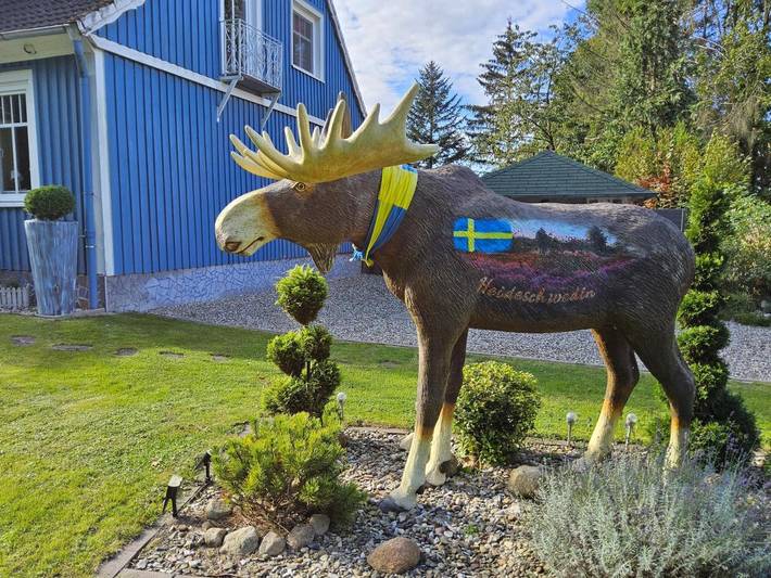 Ferienwohnung für 6 Personen, mit Garten in Eschede - 4