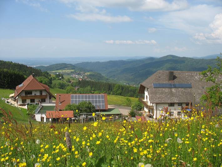 Reeshof - Panoramablick, Typ C, 65 qm, 2. Etage, max. 3 Pers. in Horben, Südschwarzwald