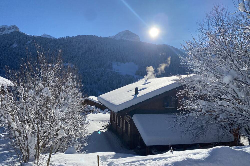 Charmant chalet familial dans les Alpes suisses près des remontées mécaniques et piste cyclable in Gryon, Alpes Vaudoises