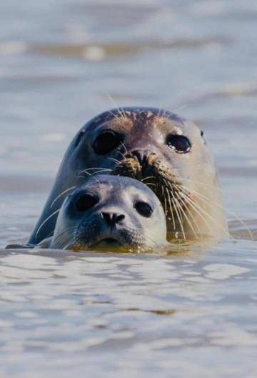 Gîte pour 2 personnes à Abbeville