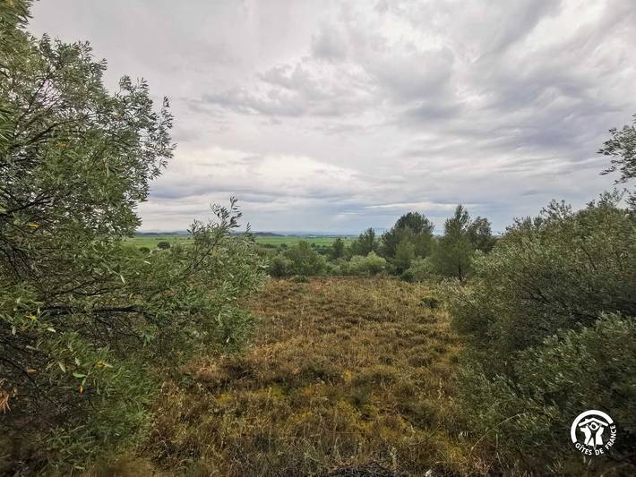 Gîte pour 4 personnes, avec jardin, animaux acceptés dans l' Hérault - 4