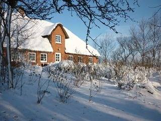 Ferienwohnung für 4 Personen, mit Terrasse und Garten in Pellworm - 2