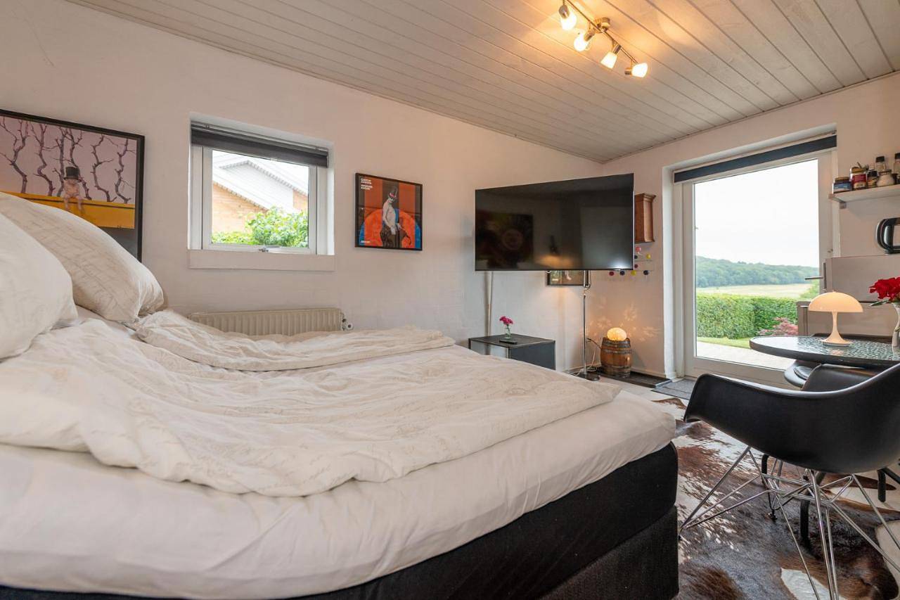 Double Room with Beautiful View in Horsens, Lillebælt
