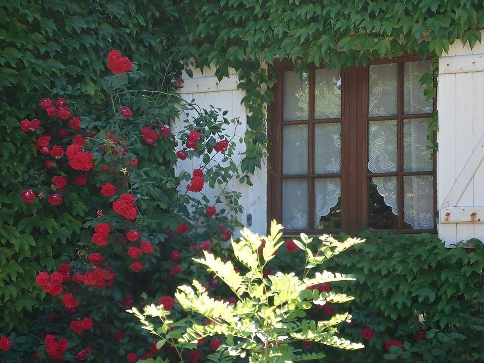 Les chambres de l'Hôte Antique - Chambre 1 - Double in Porto-Vecchio, Arrondissement de Sartène